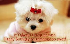 bday.jpg