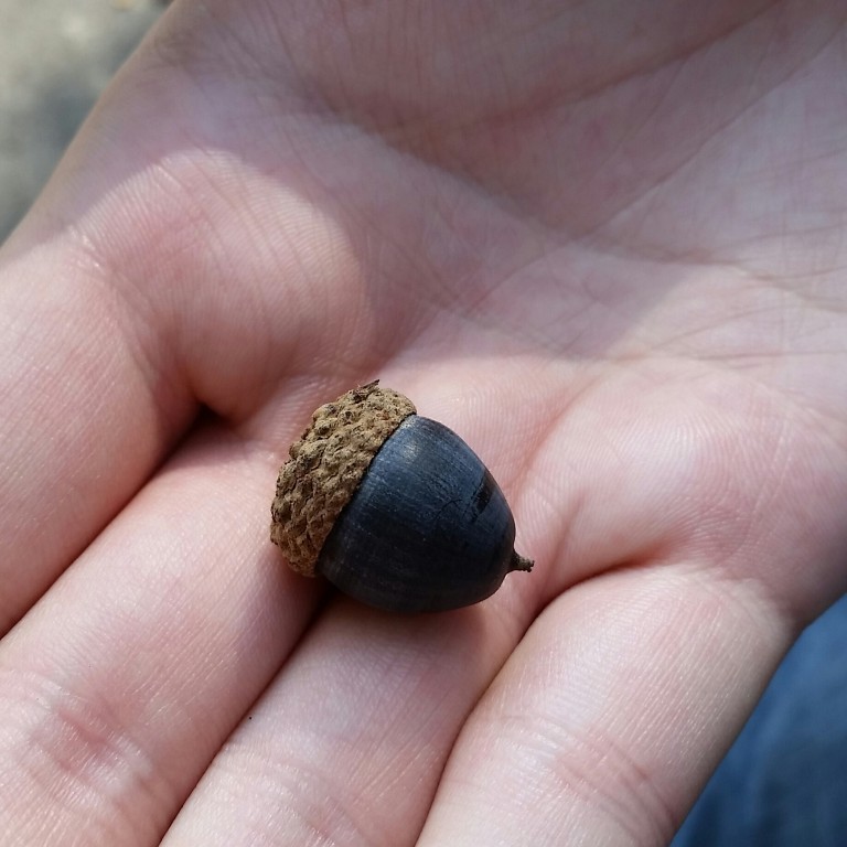 20160927_155855-1.jpg